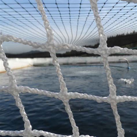 Contact Us – NETS.